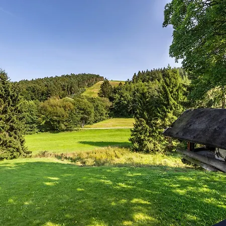 Zum Holzknecht Vakantiehuis Willingen (Upland)
